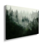 Obraz na płótnie - Las we mgle 