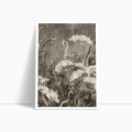 zestaw-2-plakatow-kwiaty-polne-dyptyk-do-salonu-i-sypialni-bok1.webp