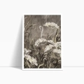 plakat-kwiaty-polne-ii-do-salonu-i-sypialni-bok.webp