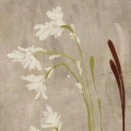 obraz-na-plotnie-field-of-grasses-polne-kwiaty-i-trawy-akwarela-bezowy-plotno-fragment.webp