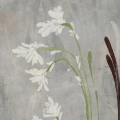 obraz-na-plotnie-field-of-grasses-polne-kwiaty-i-trawy-akwarela-szary-z-kolorowymi-akcentami-plotno-fragment.webp