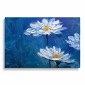 Obraz na płótnie białe stokrotki przód
