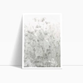 plakat-polne-trawy-i-rosliny-ii-bezowy-szary-boho-bok.webp
