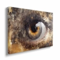 obraz-na-plotnie-oko-bok.webp