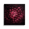 obraz-na-plotnie-romantyczne-rozowe-roze-kwadrat.webp