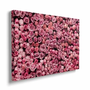 Obraz na płótnie - Różowa ściana usłana różami 