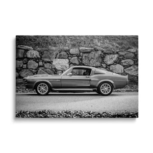 Obraz na szkle Klasyczny samochód z duszą