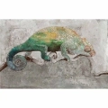 fototapeta-zielony-kameleon-na-betonie-motyw.webp