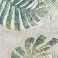 fototapeta-liscie-monstery-fragment.webp