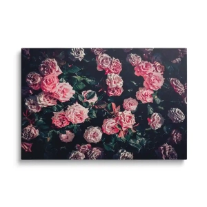 Obraz na szkle - Zapach róży - 60x40 cm