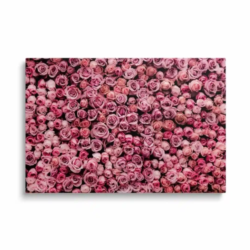 obraz-szklo-rozowa-sciana-uslana-rozami-przod.webp