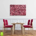 obraz-szklo-rozowa-sciana-uslana-rozami-wnetrze.webp
