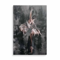 Obraz na płótnie Baletnica na ciemnym tle przód