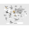 fototapeta-szara-mapa-swiata-dla-dzieci-motyw.webp