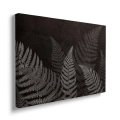 Obraz na płótnie ciemne liście paproci bokiem