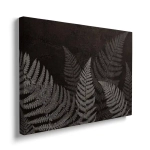 Obraz na płótnie - Ciemne liście paproci