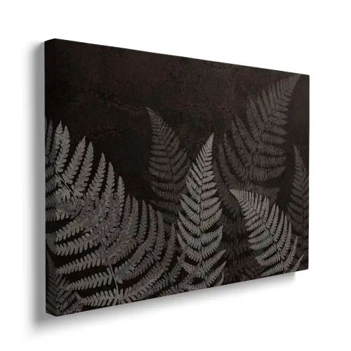 Obraz na płótnie ciemne liście paproci bokiem