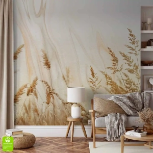 Fototapeta Kłoski złotej trawy na polu