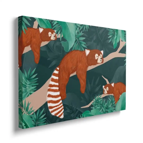 obraz-na-plotnie-brazowe-leniwce-na galezi-bok.webp