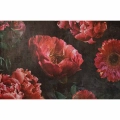 fototapeta-scienna-duze-czerwone-kwiaty-motyw.webp