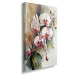 Obraz na płótnie - Białe storczyki