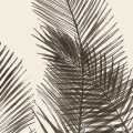 obraz-na-plotnie-bezowe-liscie-palmowe-fragment.webp