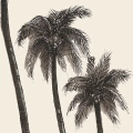 obraz-na-plotnie-aleja-palm-fragment.webp