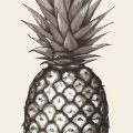 obraz-na-plotnie-bezowy-ananas-fragment.webp
