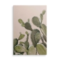 obraz-na-plotnie-zielone-kaktusy-przod.webp