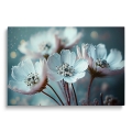 obraz-na-szkle-akrylowym-biale-kwiaty-przod.jpg