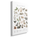 obraz-na-plotnie-zwierzecy-alfabet-bok.webp