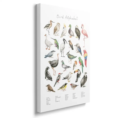 obraz-na-plotnie-ptasi-alfabet-bok.webp