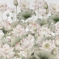 obraz-szklo-wodne-lilie-fragment.webp