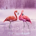 Fototapeta-Fragment-Para-różowych-flamingów-stojąca-w-wodzie.jpg