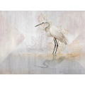 fototapeta-biala-czapla-motyw.webp