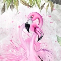 Fototapeta-Fragment-Słodkie-różowe-flamingi-na-tle-zielonych-liści.jpg