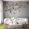 fototapeta-na-wymiar-delikatna-magnolia-wnetrze.webp