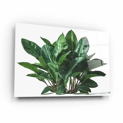 obraz-na-szkle-akrylowym-bukiet-zielonych-lisci-bok.webp