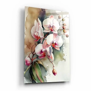 Obraz na szkle akrylowym - Białe storczyki