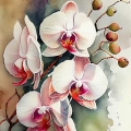 obraz-na-szkle-akrylowym-biale-storczyki-fragment.webp