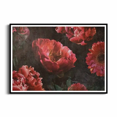 Plakat Duże czerwone kwiaty czarna ramka