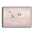Plakat Lot flamingów czarna ramka