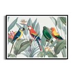 Plakat - Tropikalne sprawy