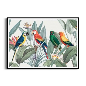 Plakat - Tropikalne sprawy