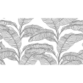 fototapeta-w-czarno-biale-liscie-bananowca-motyw.webp