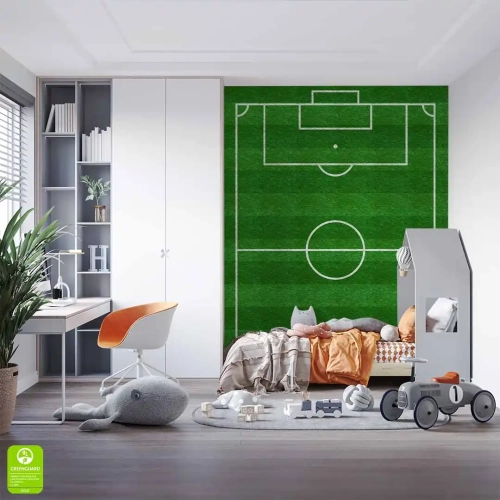 fototapeta-mlodziezowa-boisko-pilkarskie-stadion-pilkarski-zielona-murawa-wnetrze1.webp