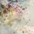 plakat-fragment-kwiaty-letnia-pora.webp