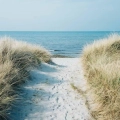 fototapeta-malowniczy-widok-morza-sciezka-przez-wydmy-na-plazy-fragment.webp