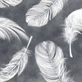 fototapeta-delikatne-biale-piora-na-betonowym-tle-fragment.webp