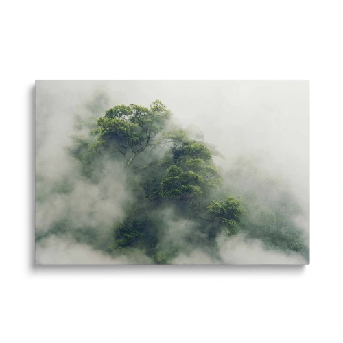 obraz-szklo-silnie-zamglone-korony-drzew-przod.webp